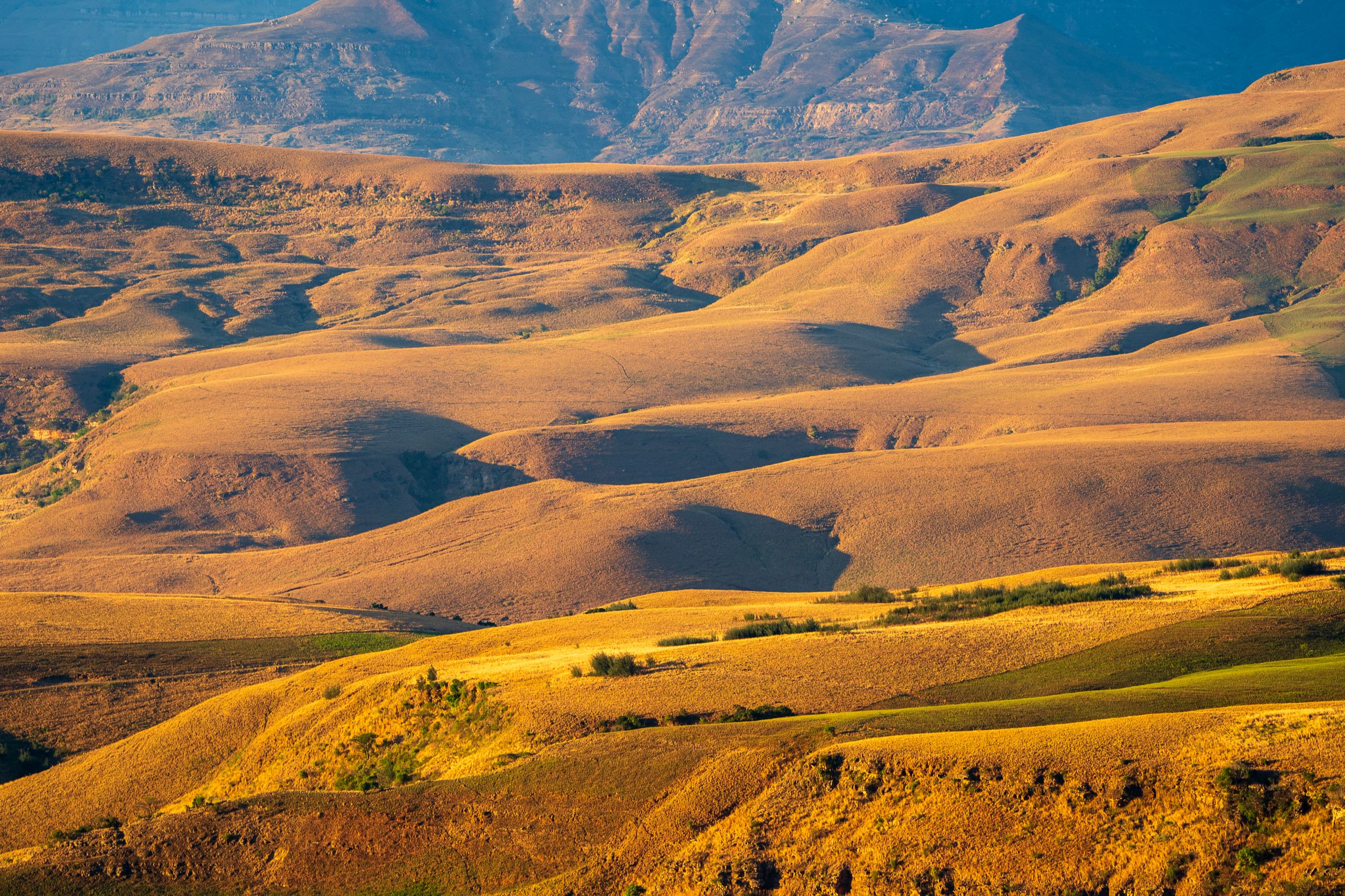 20230920 061739 Fotobuch Südafrika 03571